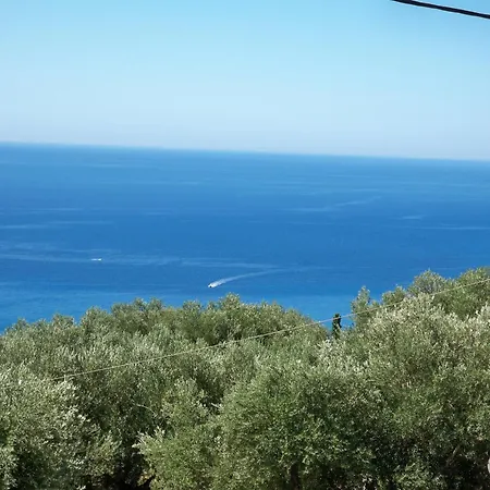 Madison מלון דירות